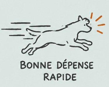 Promenade de chiens en forêt de Janas à Six-Fours