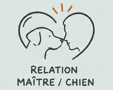 Chien attentif pendant une séance d'éducation