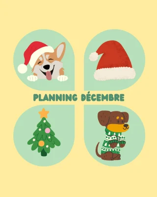 Planning des activités publié sur Instagram