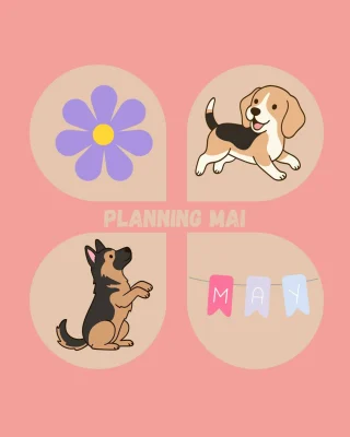 Planning des activités publié sur Instagram