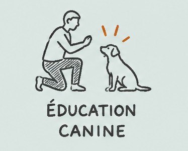 Accompagnement d'un chien en rééducation